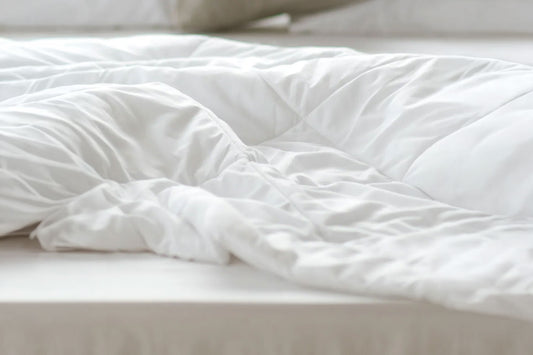 Down Comforter (Duvet Insert)
