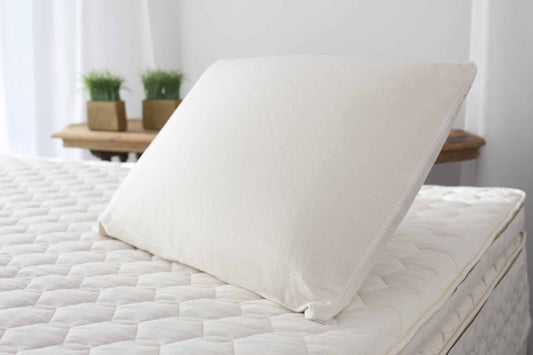 Organic Latex Soap-Shaped Pillow - Comfort Pure