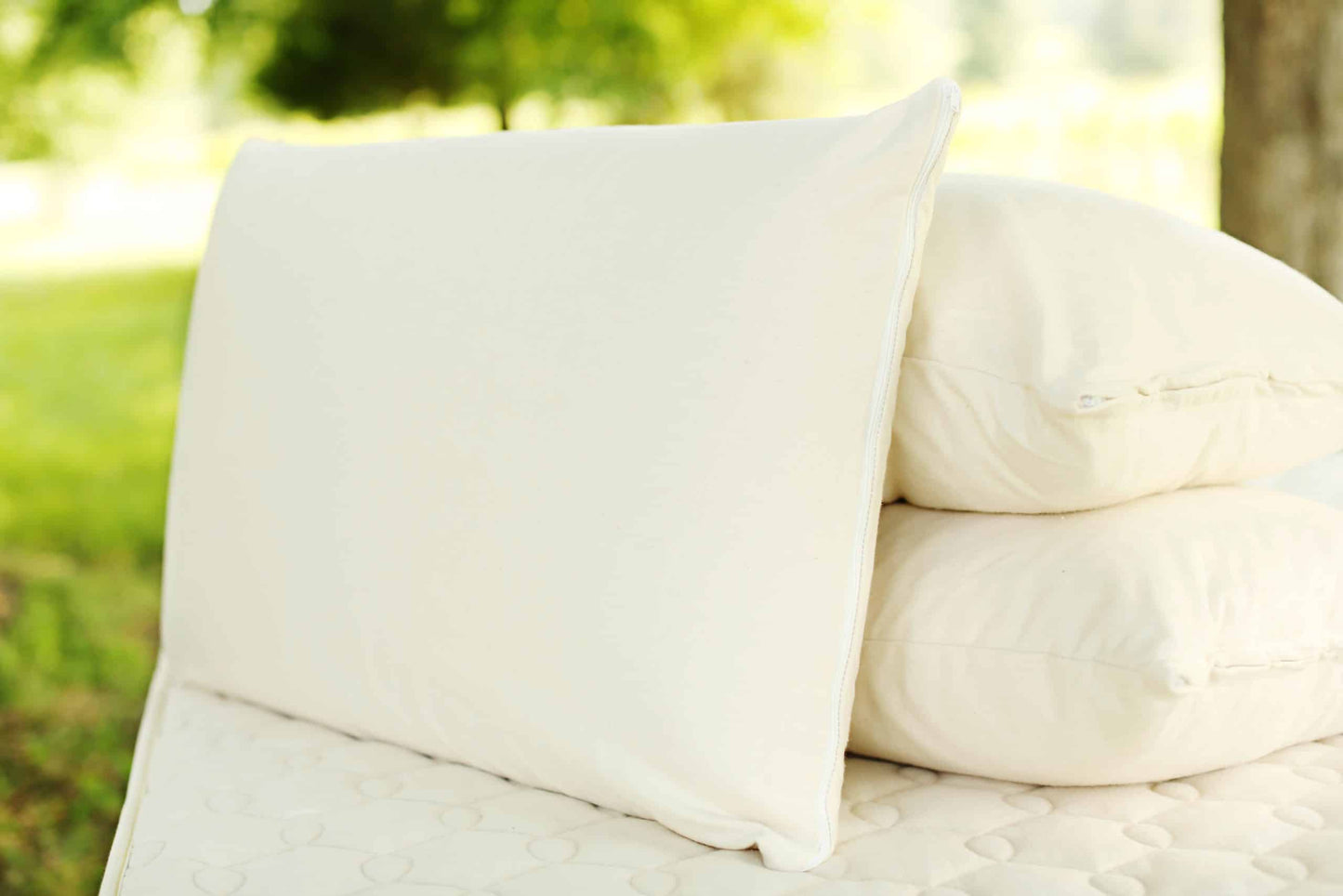 Organic Latex Soap-Shaped Pillow - Comfort Pure