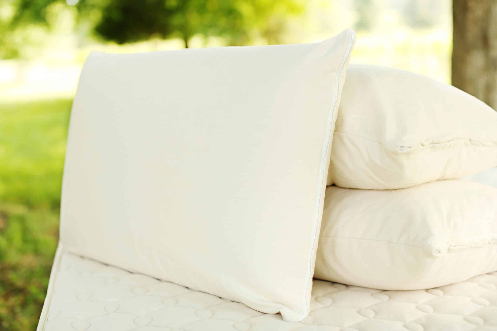 Organic Latex Soap-Shaped Pillow - Comfort Pure