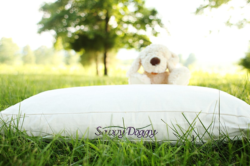 Savvy Doggy - Comfort Pure
