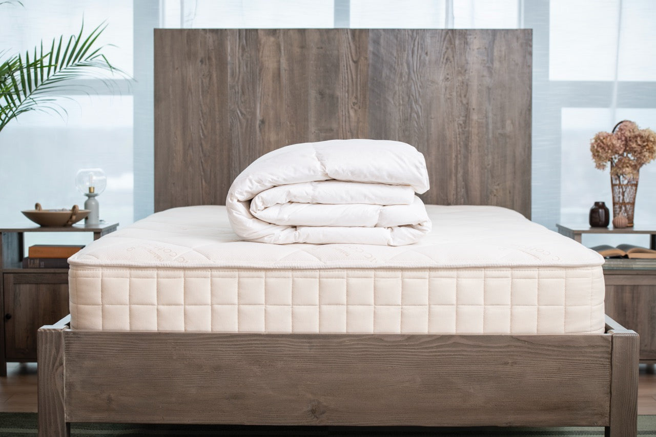 Down Comforter (Duvet Insert)