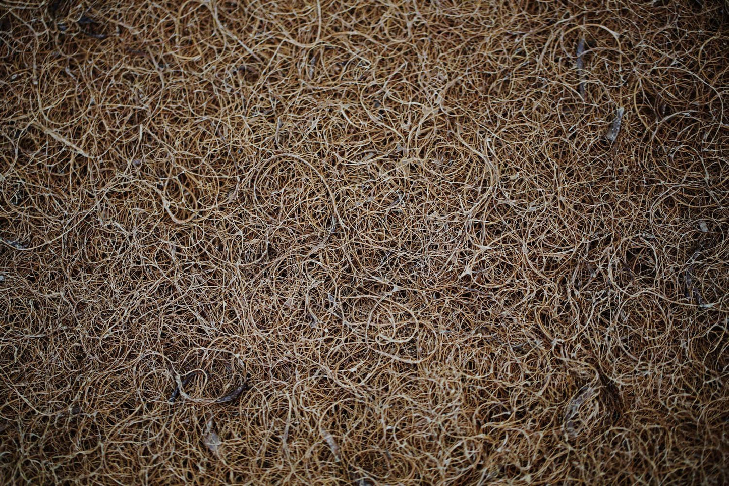 Coconut Coir Bed Rug - Comfort Pure