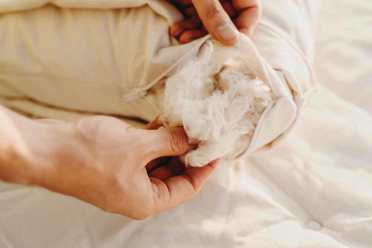 Organic Kapok Pillow - Comfort Pure