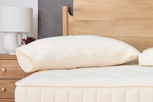 Waterproof Pillow Protector