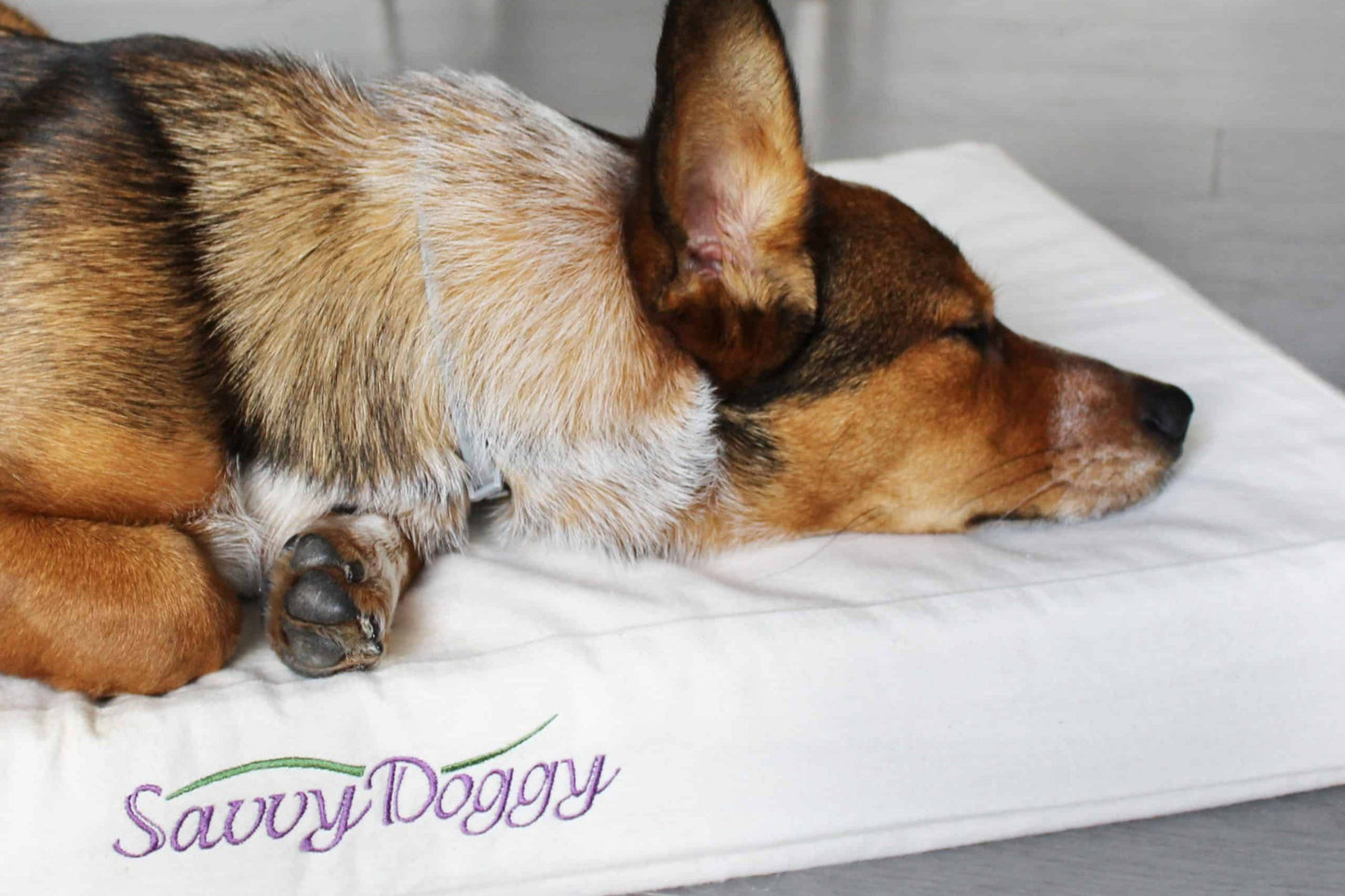 Savvy Doggy - Comfort Pure