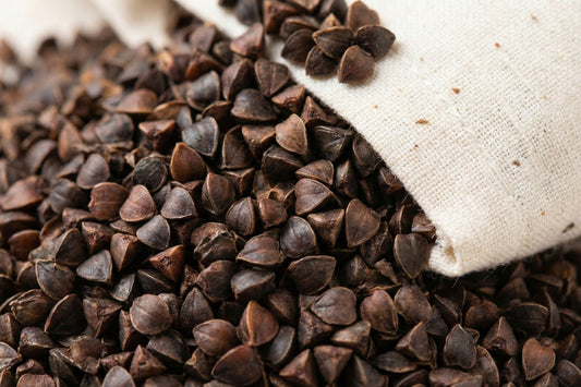 Buckwheat Hull Closeup