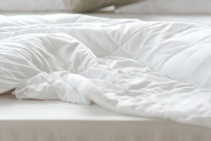 Down Comforter (Duvet Insert)