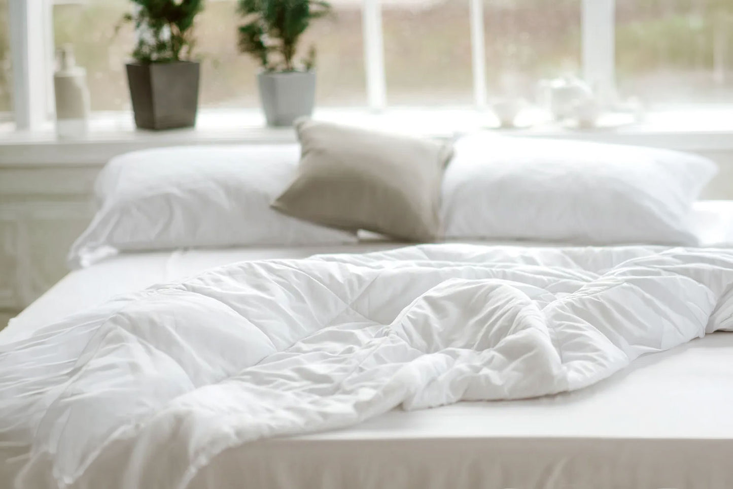 Down Comforter (Duvet Insert)