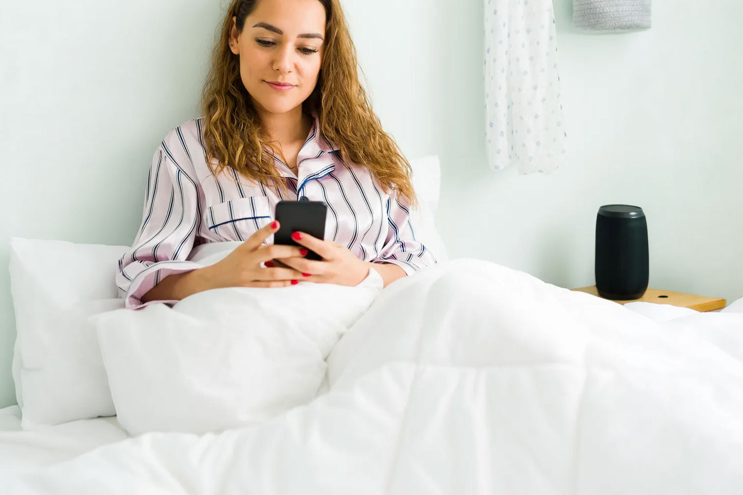 Down Comforter (Duvet Insert)