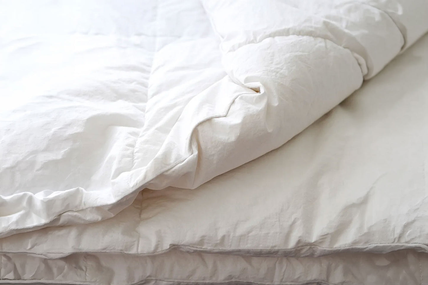Down Comforter (Duvet Insert)