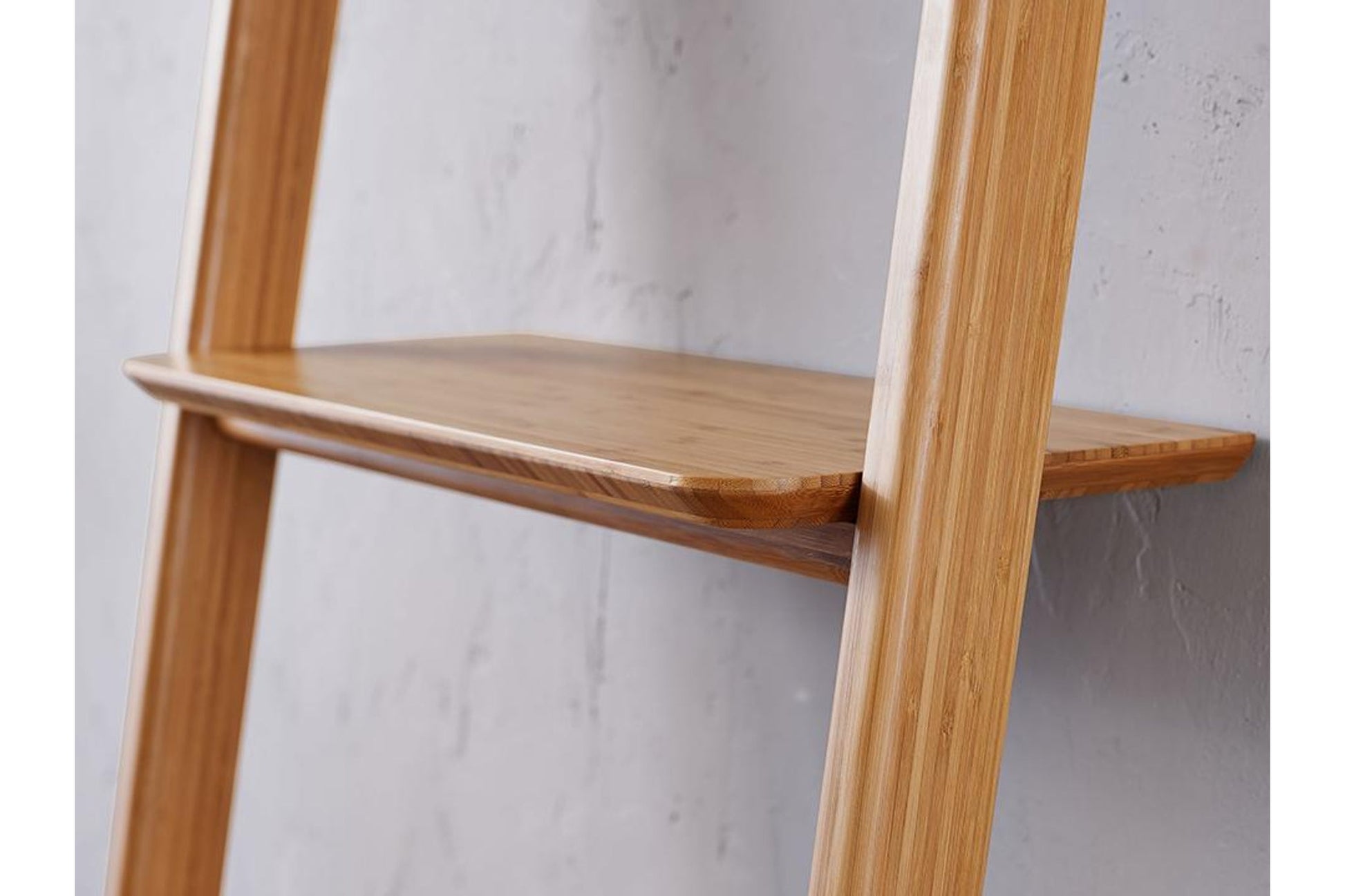 Currant Leaning Bookshelf