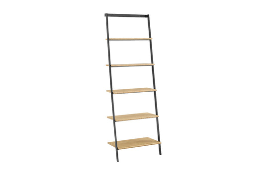 Santa Cruz Leaning Shelf