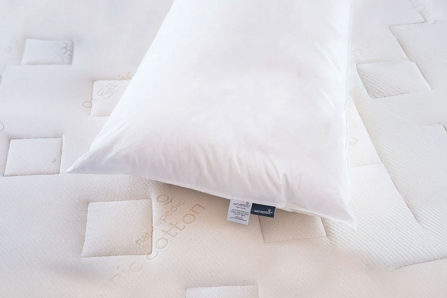 Down Pillow